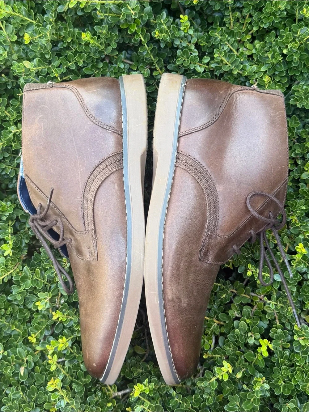 Sperry Newman Chukka Brown Leather Water Resistant Ankle Boots Mens Sz 8M NEW
